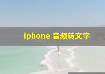 iphone 音频转文字